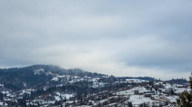 Gürcistan 'daki dağın tepesinde karla kaplı ağaçlar.