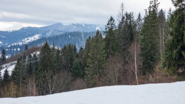 Karpat Dağları'nın kış manzarası
