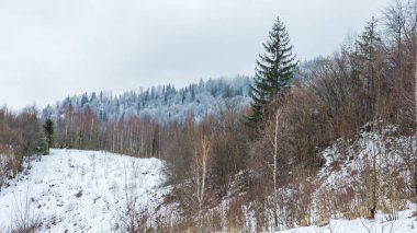 Dağlarda kış manzarası