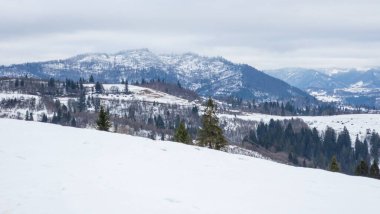 Karlı güzel kış manzarası