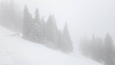 Karla kaplı ağaçlarla kaplı kış manzarası