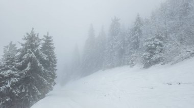 Karpatlar 'da kış, Ukrayna