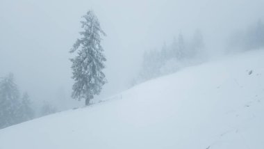 Dağlarda dağları olan güzel bir manzara.