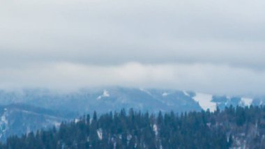 Karlı ve ağaçlı dağ zirveleri