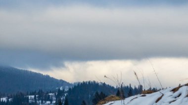 Karla kaplı ağaçlarla kaplı güzel kış manzarası