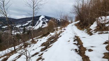 Ormandaki karlı dağın güzel bir görüntüsü.