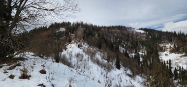 Karpatya dağlarında kış