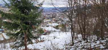 Karla kaplı ağaçlarla kaplı güzel bir orman manzarası.