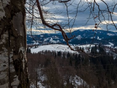 Karpatlar 'daki karlı bir dağ manzarasının dikey görüntüsü.