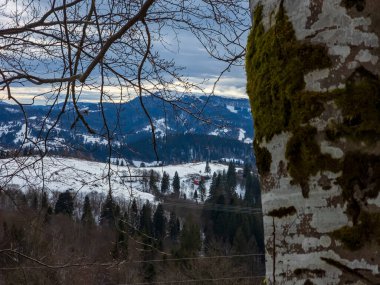 Dağlarda kış manzarası