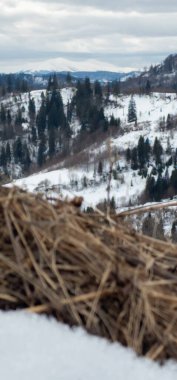 Karla kaplı ağaçlarla kaplı kış manzarası