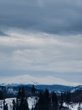 Karla kaplı ağaçlarla kaplı kış manzarası