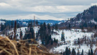 Doğanın güzel manzarası