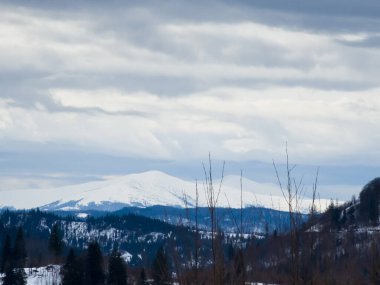 Arkasında bir dağ olan güzel bir manzara.