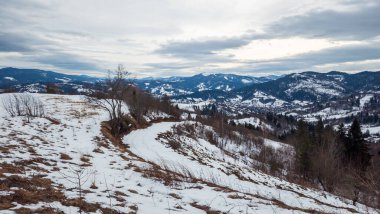Ormandaki karlı dağlarda güzel bir yol manzarası.