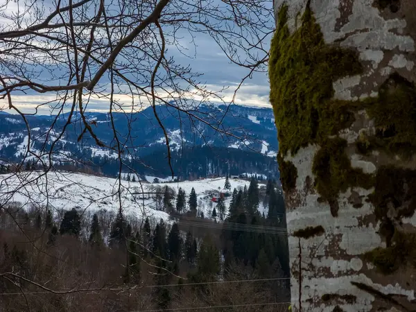 Dağlarda kış manzarası