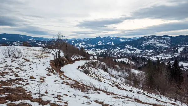 Ormandaki karlı dağlarda güzel bir yol manzarası.