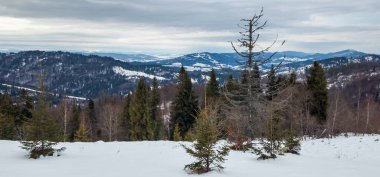 Doğanın güzel manzarası