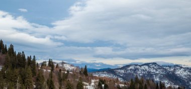 Ormandaki karlı dağ sırasının güzel bir görüntüsü.