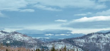 Karla kaplı ağaçlarla kaplı kış manzarası