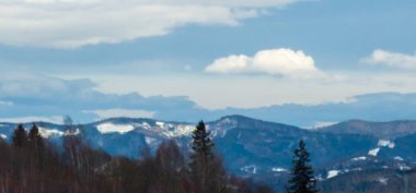 Kar ve ormanlı kış manzarası