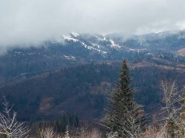 Karpat Dağları 'ndaki kış manzarası, Ukrayna