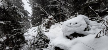 Ormandaki beyaz bir kardan adamın yakın plan fotoğrafı.