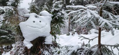 Komik beyaz tavşan kışın