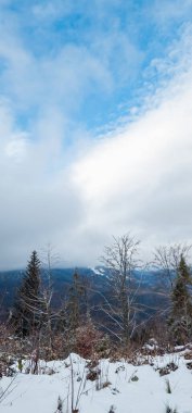 Kış dağ manzarası, karla kaplı ağaçlar