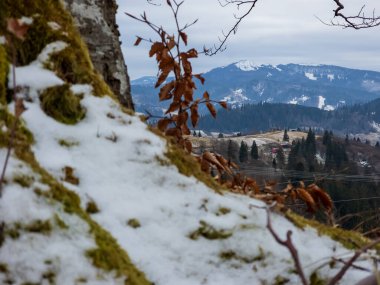 Karla kaplı dağların ve ormandaki ağaçların güzel manzarası.