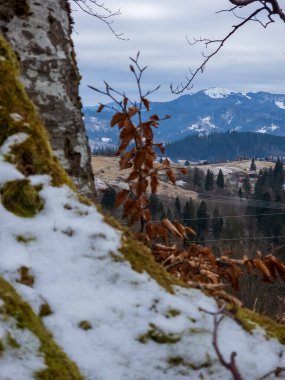 Kışın karla kaplı dağların ve ağaçların güzel manzarası.