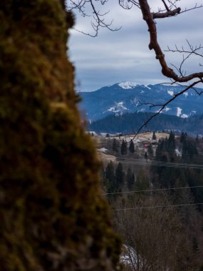 Ormandaki güzel dağ manzarası