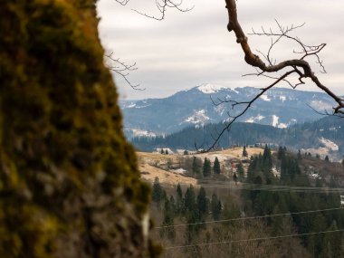 Dağ sırası olan güzel bir manzara.