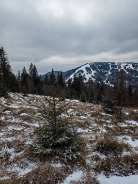 Karla kaplı ağaçlarla kaplı dağ manzarası