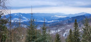 Karla kaplı ağaçlarla kaplı güzel kış manzarası