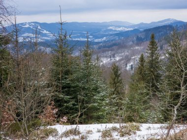 Ormanda karla kaplı dağlar.