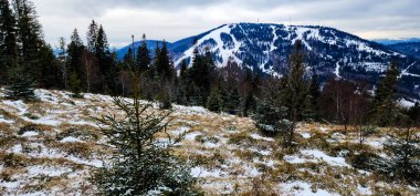 Karla kaplı ağaçlar ve dağlarla kaplı güzel kış manzarası.