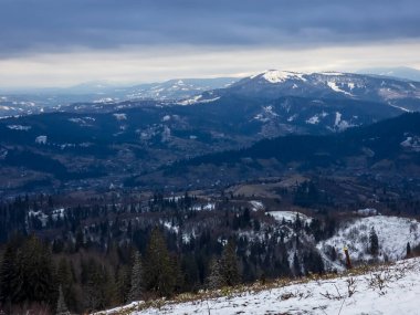 Karla kaplı ağaçlarla kaplı kış manzarası