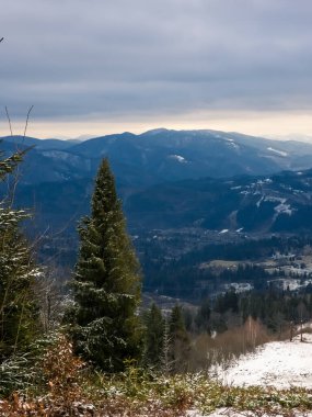 Karla kaplı ağaçlarla kaplı kış manzarası