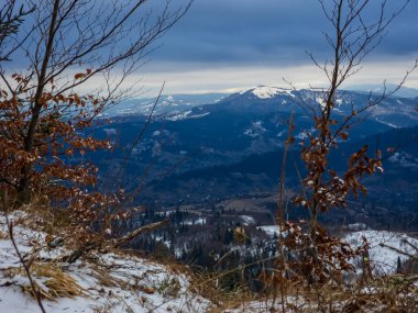 Kışın Karpat Dağları 'nın güzel manzarası