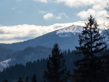 Ağaçlar ve dağlarla kaplı dağ manzarası
