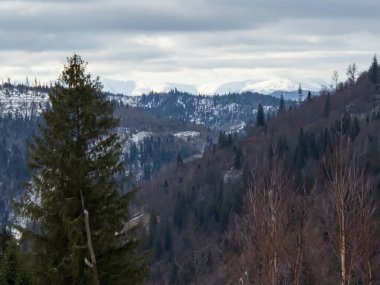 Dağlarda ağaçlarla ve dağlarla kaplı kış manzarası.