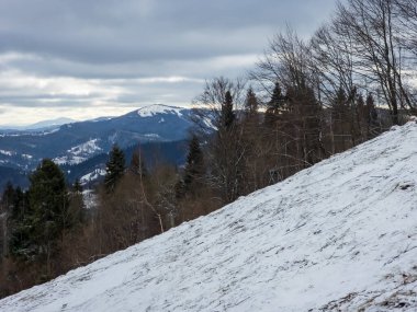 Dağlardaki güzel kış manzarasının dikey görüntüsü.