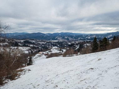 Kar ve ağaçlarla kaplı kış manzarası