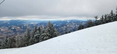 Karla kaplı ağaçlarla kaplı kış manzarası