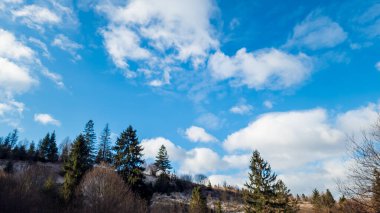 Karla kaplı ağaçlarla kaplı kış manzarası