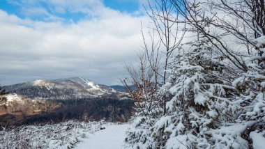 Karla kaplı ağaçlarla kaplı kış manzarası