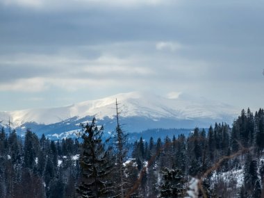 Karpatya dağlarında bir dağı olan güzel kış manzarası.
