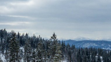 Ormandaki kışlık dağ manzarası