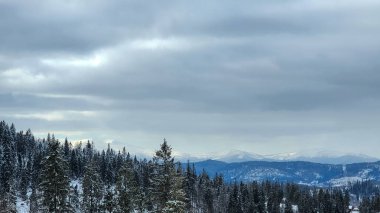 Kış manzarası karla kaplı tepeler